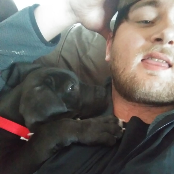 Meet your Posher, Travis - Picture 1 of 1